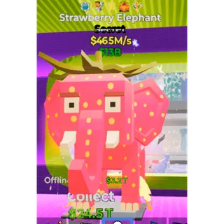 Strawberry Elephant 5traits