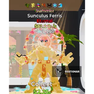 81.1 Qi 7 traits Summer Sunculus Ferris