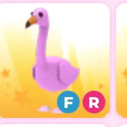 FR FLAMINGO