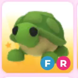 FR TURTLE
