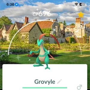 Shiny Grovyle with Location Background