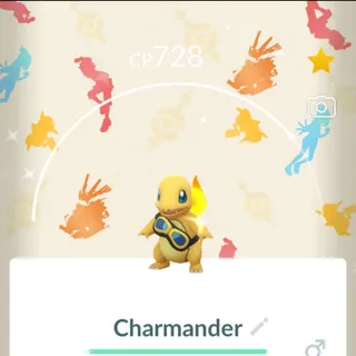 1 X Charmander Shundo With Background 