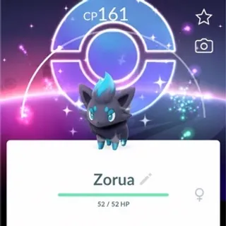 3 X Zorua Shundo With Background 