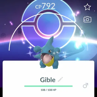 3 X Gible Shundo With Background 