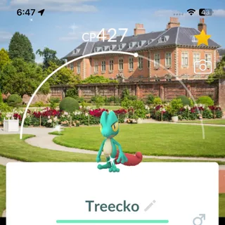 Shiny treecko with Location Background