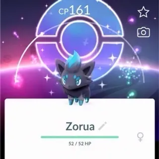 Zorua 3 Hrs Com Day Grind