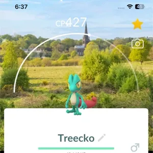 Shiny treecko with Location Background