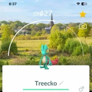 Shiny treecko with Location Background