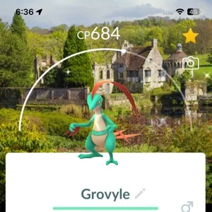 Shiny Grovyle with Location Background