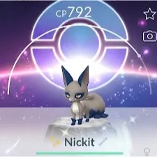 3 x Nickit Shundo with Background