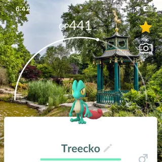 Shiny treecko with Location Background