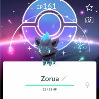 3 x Zorua Shundo with Background