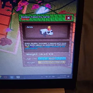 Rainbow French Fry Ferra