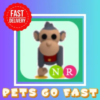 NR Toy Monkey