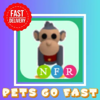 NFR Toy Monkey