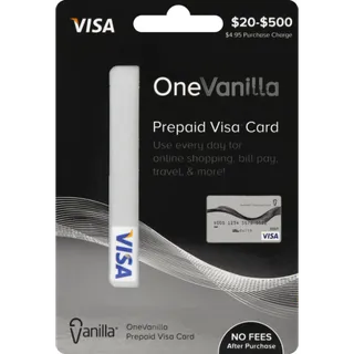 $25.00 USD Visa Prepaid Card