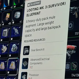 Looting survivor mk3