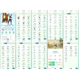 Level 70 starter account Pokemon go 