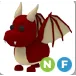 NF DRAGON