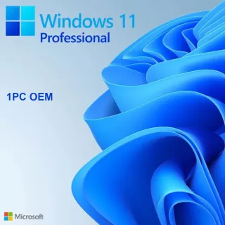 Original Windows 10 /11 Pro 1PC [OEM] - Lifetime