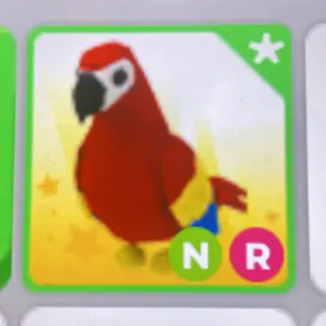 NR Parrot