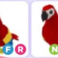 2x NFR Parrots