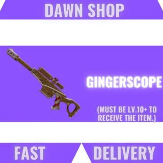 Gingerscope MM2