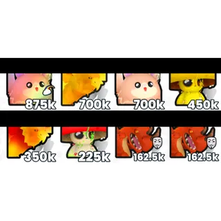 PETS UNIVERSE - PET BUNDLE