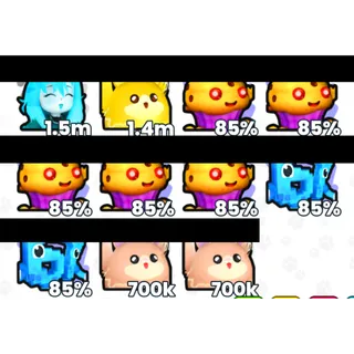 PETS UNIVERSE - PET BUNDLE