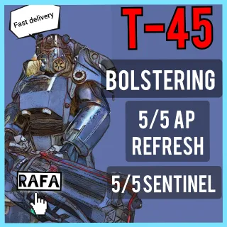 T45 BOLSTERING SENTINEL AP