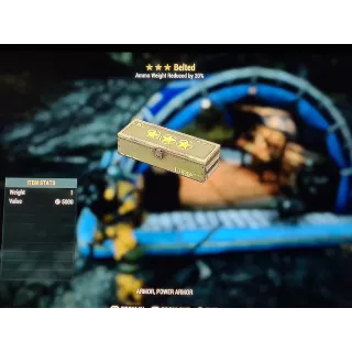 ⭐⭐⭐ Belted Mod