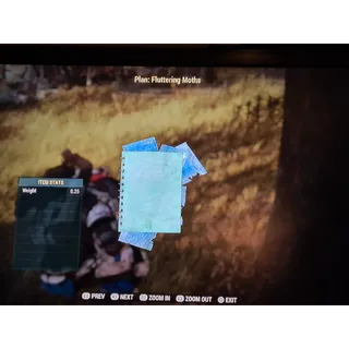 Fluttering Moths plan