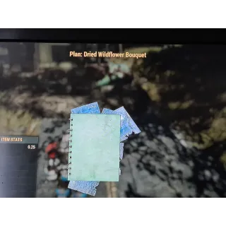 Dried Wildflower Bouquet plan