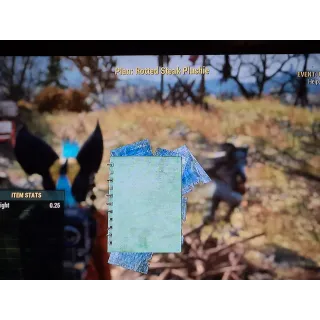 Rotted Steak Plushie plan