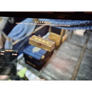 ⭐⭐⭐⭐ Fencer's Mod