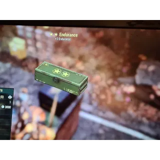 ⭐⭐ Endurance mod