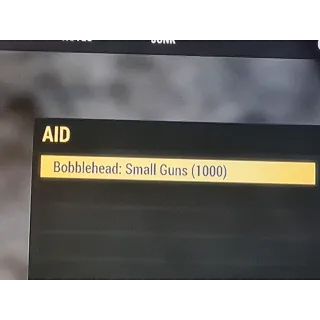 Aid | 1000 Small guns Bobblehe
