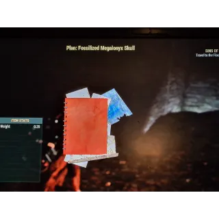 Fossilized Megalonyx Skull