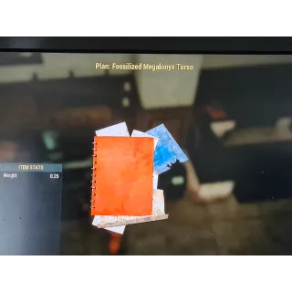 Fossilized Megalonyx Torso plan