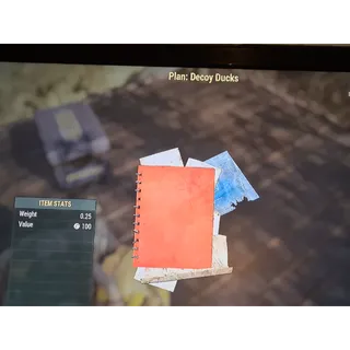 Decoy Ducks plan