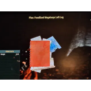 Fossilized Megalonyx Left Leg