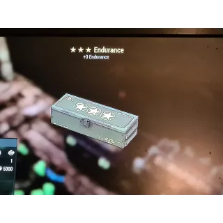 ⭐⭐⭐ Endurance mod