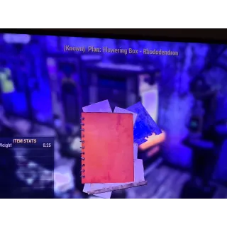 Flowering Box - Rhododendron plan