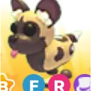 African wild dog