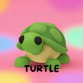 Full Grown | Turtle