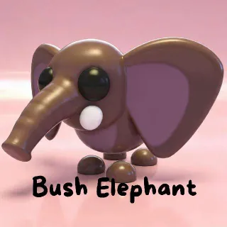 Bush Elephant