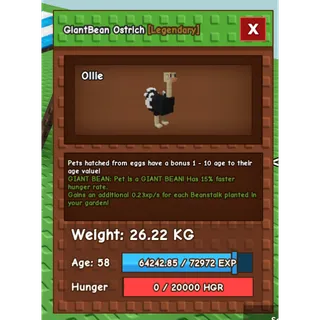 Giantbean Huge Ostrich