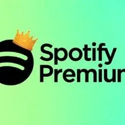 Spotifiy Individual plan 3 month