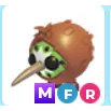 KIWI KIWI MFR - ADOPT ME!!