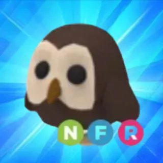 NFR owl 